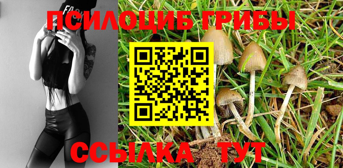 Галлюциногенные грибы мухоморы Шатура